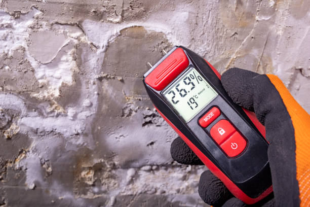 Best Mold Remediation for Specific Building Types in Cheval, FL