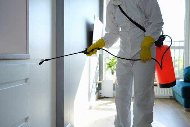 Best Mold Remediation for Specific Building Types in Cheval, FL