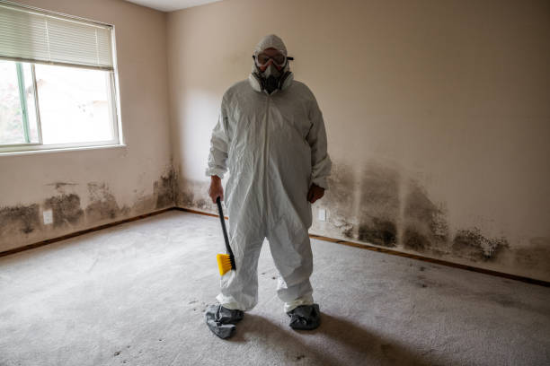 Best Industrial Mold Remediation in Cheval, FL